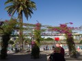 0210-1648 Brisbane South bank pool (2107880)